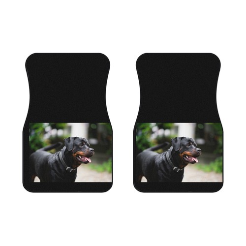 Car mats - car, front)
